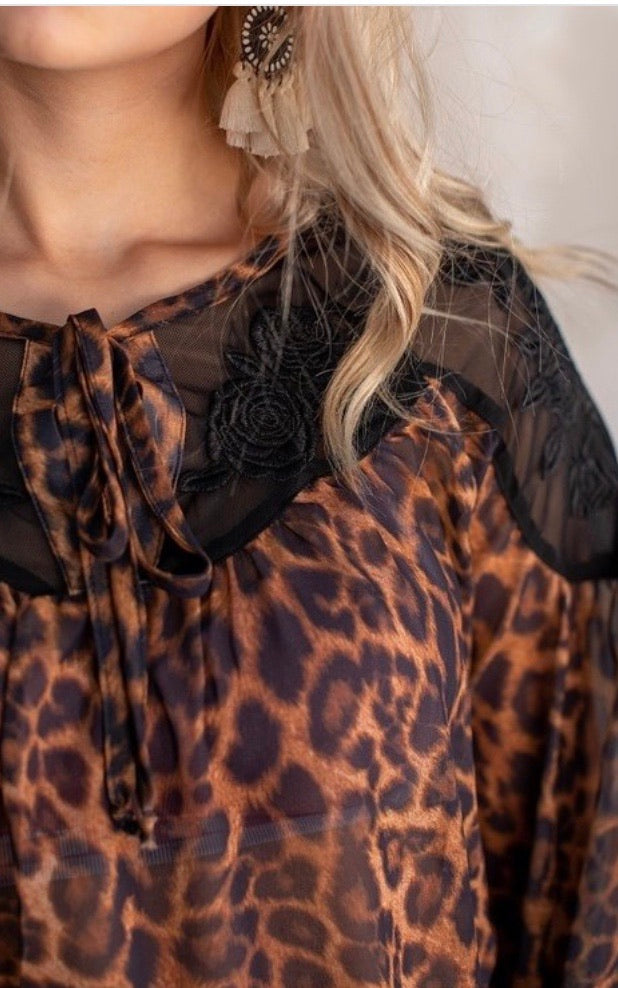 Leopard + Lace Top